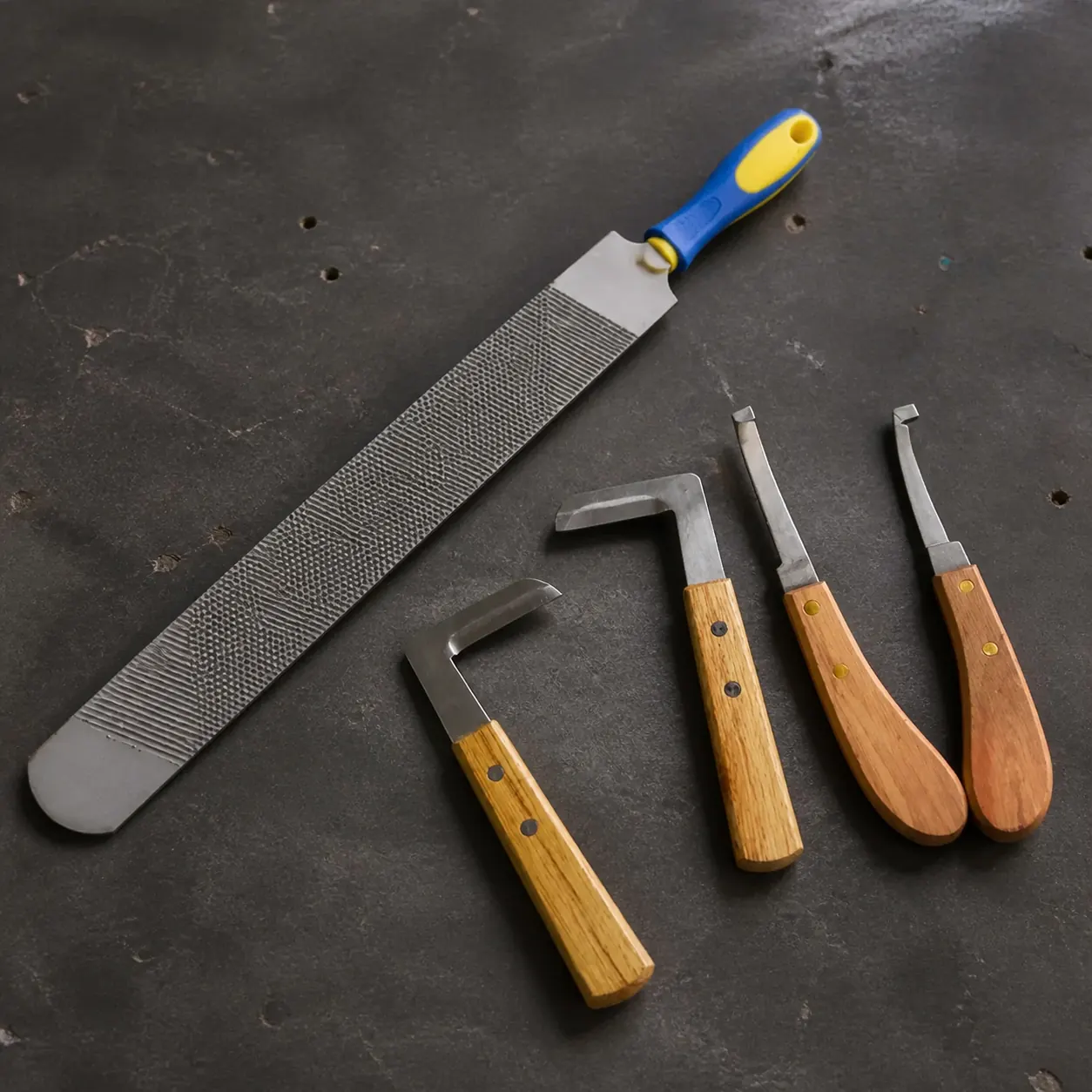 Professional hoof rasp and hoof knives for farrier hoof care